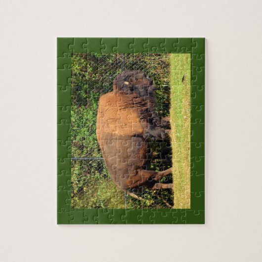 Buffalo (Bison) Kansas, Oklahoma, Wyoming Puzzle (Vertikal)