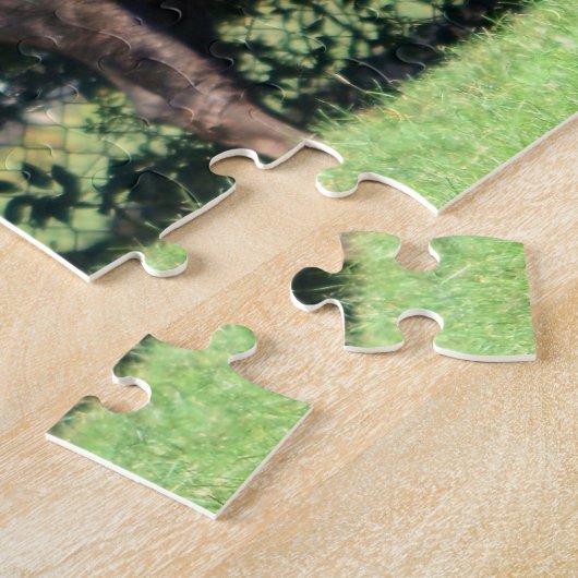 Buffalo (Bison) Kansas, Oklahoma, Wyoming Puzzle (Seite)