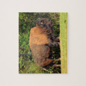 Buffalo (Bison) Kansas, Oklahoma, Wyoming Puzzle (Vertikal)