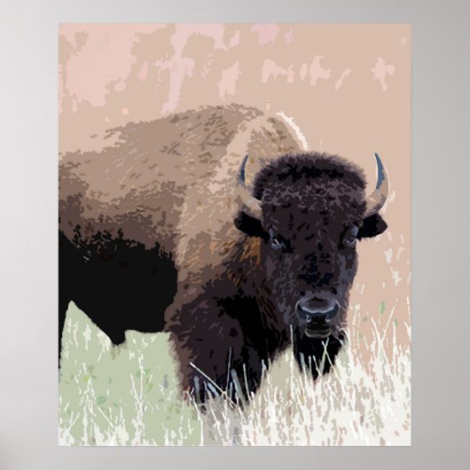 Buffalo / Bison Poster (Vorne)
