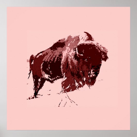 Buffalo - Bison Poster (Vorne)