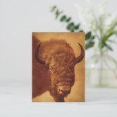 Buffalo / Bison Postkarte (Stehend Vorderseite)