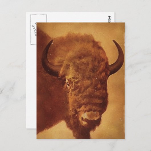 Buffalo / Bison Postkarte (Vorne/Hinten)