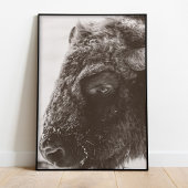 Buffalo Bison Print Poster