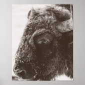 Buffalo Bison Print Poster (Vorne)