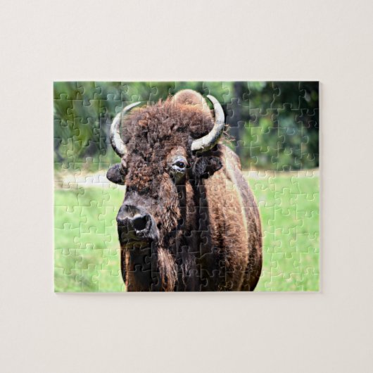 Buffalo (Bison) Puzzle (Horizontal)