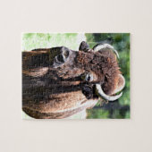 Buffalo (Bison) Puzzle (Horizontal)