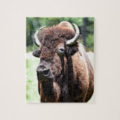 Buffalo (Bison) Puzzle (Vertikal)