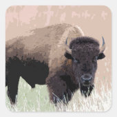 Buffalo / Bison Quadratischer Aufkleber (Vorderseite)