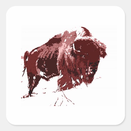Buffalo - Bison Quadratischer Aufkleber (Vorderseite)