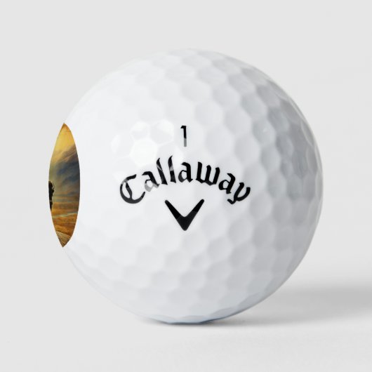 Buffalo Bison Sunset Silhouette Golfball (Logo)