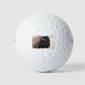 Buffalo Bison Up Nah Golfball (Vorderseite)