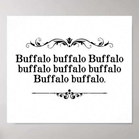 Buffalo Buffalo Sentence Poster (Vorne)