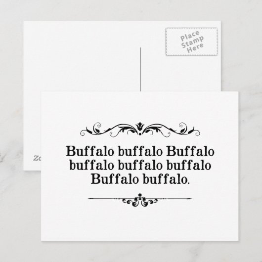 Buffalo Buffalo Sentence Postkarte (Vorne/Hinten)