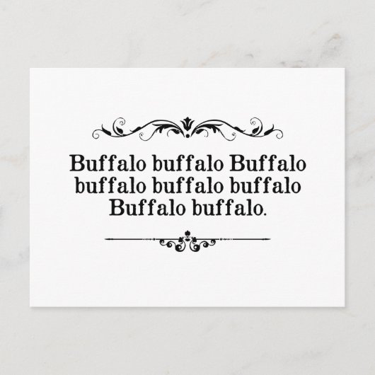 Buffalo Buffalo Sentence Postkarte (Vorderseite)
