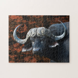 Buffalo bull wilde Tiere Kunst Puzzle