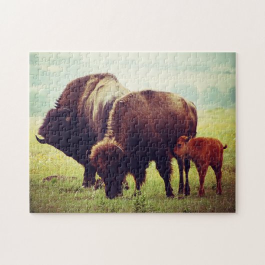 Buffalo & Calf Oklahoma. Puzzle (Horizontal)
