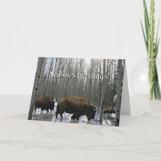 Buffalo Card der amerikanischen Nationalsaison Feiertagskarte (Vorderseite)