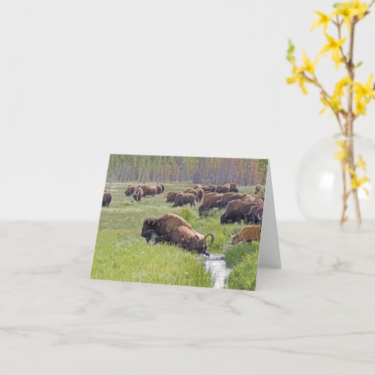 Buffalo Crossing Note Card Karte (Gelbe Blume)