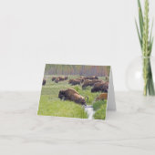 Buffalo Crossing Note Card Karte (Vorderseite)