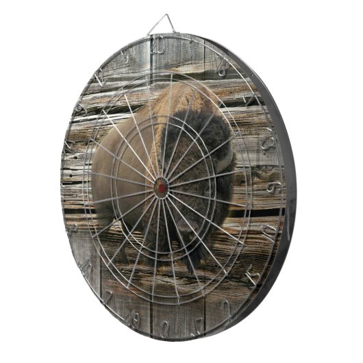 Buffalo Dartscheibe (Vorderseite rechts)