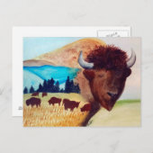 Buffalo Dream Postcard Postkarte (Vorne/Hinten)
