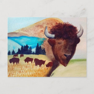 Buffalo Dream Postcard Postkarte
