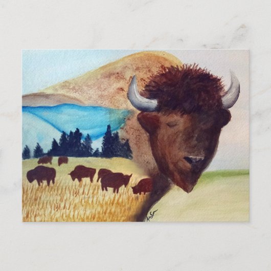 Buffalo Dream Postcard Postkarte (Vorderseite)