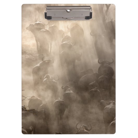 Buffalo Dust Klemmbrett (Vorderseite)