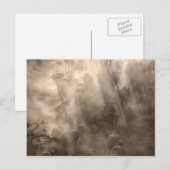 Buffalo Dust Postkarte (Vorne/Hinten)