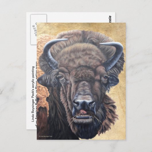 Buffalo Eating Postkarte (Vorne/Hinten)