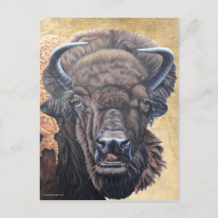 Buffalo Eating Postkarte