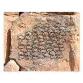 Buffalo Fotodruck (Vorne)