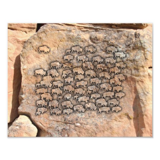 Buffalo Fotodruck (Vorne)