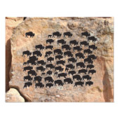 Buffalo Fotodruck (Vorne)