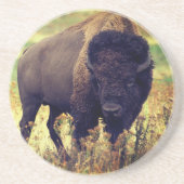 Buffalo Getränkeuntersetzer (Vorne)