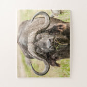 Buffalo Grazing Puzzle (Vertikal)