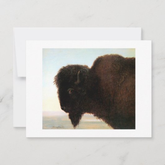 Buffalo Head Art Albert Bierstadt Bison Malerei Ankündigung (Vorderseite)