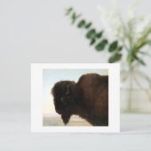 Buffalo Head Art Albert Bierstadt Bison Malerei Ankündigung (Stehend Vorderseite)