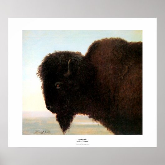Buffalo Head Art Albert Bierstadt Bison Malerei Poster (Vorne)