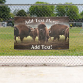 Buffalo Herd Banner (Insitu)
