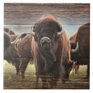 Buffalo Herd Fliese