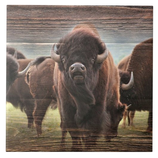 Buffalo Herd Fliese (Vorderseite)