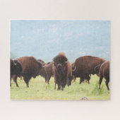 Buffalo Herd Foto Puzzle (Horizontal)