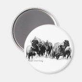 Buffalo Herd Magnet (Vorderseite/Rückseite)