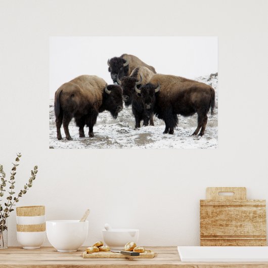 Buffalo Herd Nature Wall Poster (Küche)