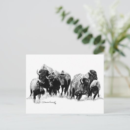 Buffalo Herd Postkarte (Stehend Vorderseite)
