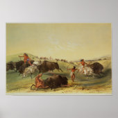Buffalo Hunt Poster (Vorne)