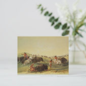 Buffalo Hunt Postkarte (Stehend Vorderseite)
