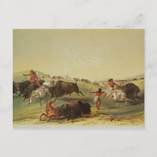Buffalo Hunt Postkarte